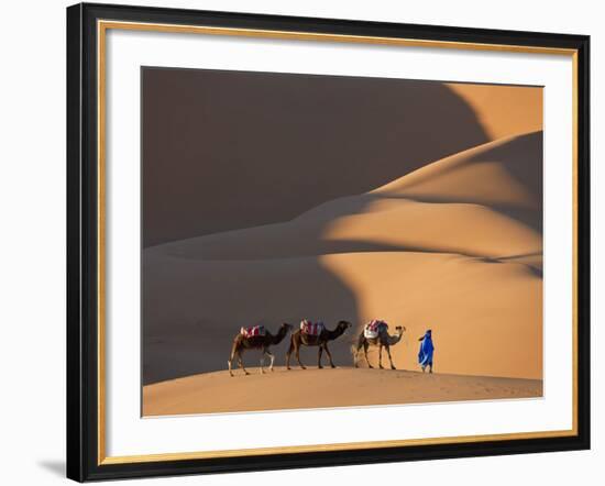 Camels and Dunes, Erg Chebbi, Sahara Desert, Morocco-Peter Adams-Framed Photographic Print