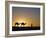 Camels and Guide, Zaafrane, Tunisia, North Africa-David Poole-Framed Photographic Print