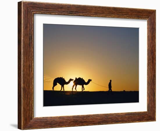 Camels and Guide, Zaafrane, Tunisia, North Africa-David Poole-Framed Photographic Print