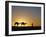 Camels and Guide, Zaafrane, Tunisia, North Africa-David Poole-Framed Photographic Print