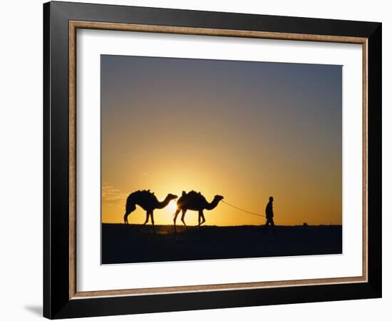 Camels and Guide, Zaafrane, Tunisia, North Africa-David Poole-Framed Photographic Print