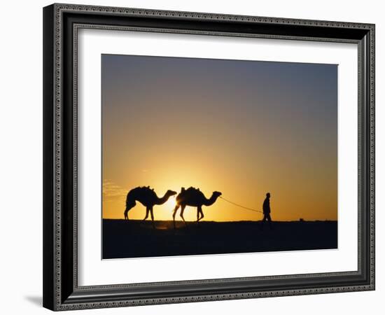 Camels and Guide, Zaafrane, Tunisia, North Africa-David Poole-Framed Photographic Print