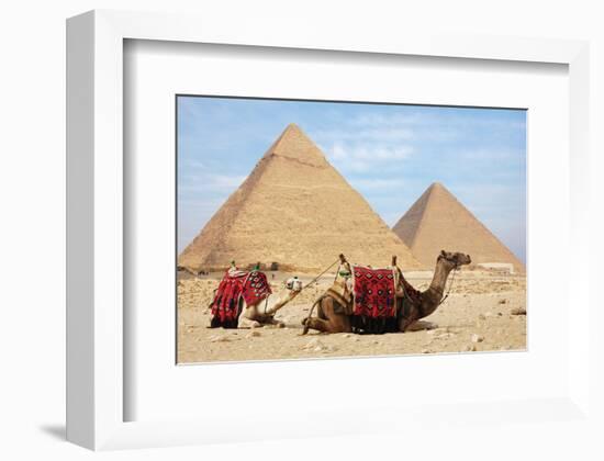 Camels and Pyramids Giza Egypt-null-Framed Premium Giclee Print