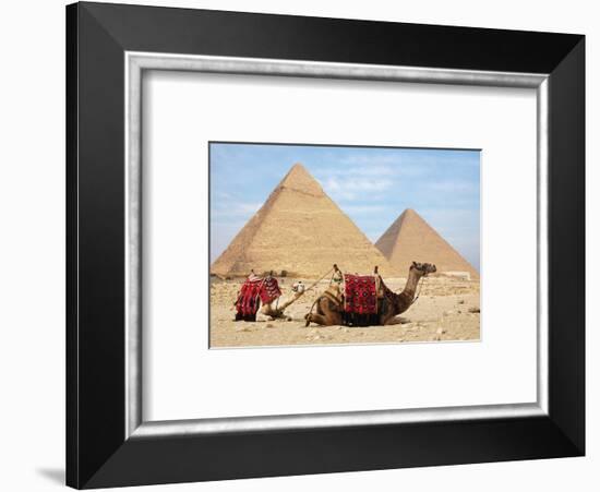 Camels and Pyramids Giza Egypt-null-Framed Art Print