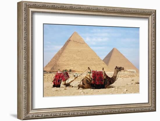 Camels and Pyramids Giza Egypt-null-Framed Art Print