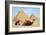 Camels and Pyramids Giza Egypt-null-Framed Art Print