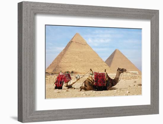 Camels and Pyramids Giza Egypt-null-Framed Art Print