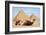 Camels and Pyramids Giza Egypt-null-Framed Art Print