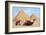 Camels and Pyramids Giza Egypt-null-Framed Art Print