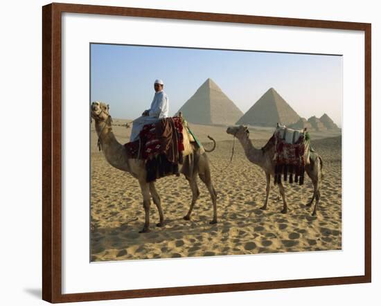 Camels and Rider at the Giza Pyramids, UNESCO World Heritage Site, Giza, Cairo, Egypt-Dominic Harcourt-webster-Framed Photographic Print