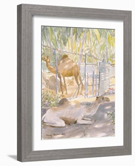 Camels at Rest, Salala (Oman) 1992-Lucy Willis-Framed Giclee Print