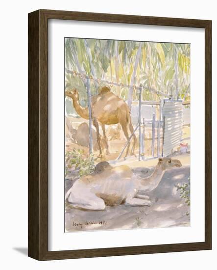 Camels at Rest, Salala (Oman) 1992-Lucy Willis-Framed Giclee Print