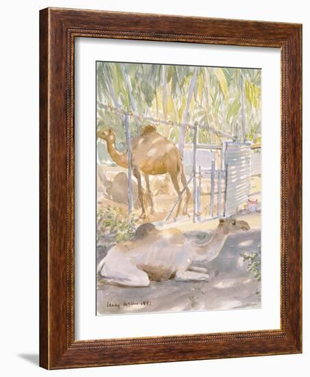 Camels at Rest, Salala (Oman) 1992-Lucy Willis-Framed Giclee Print