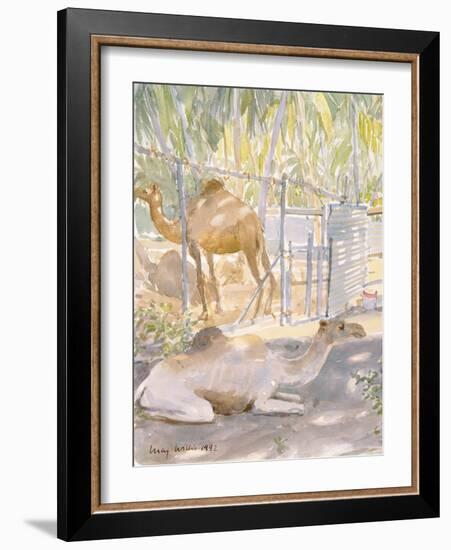 Camels at Rest, Salala (Oman) 1992-Lucy Willis-Framed Giclee Print