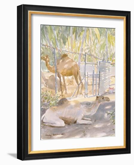 Camels at Rest, Salala (Oman) 1992-Lucy Willis-Framed Giclee Print