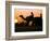 Camels at Sunset in Dubai, March 2000-null-Framed Photographic Print