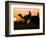 Camels at Sunset in Dubai, March 2000-null-Framed Photographic Print