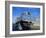 Camels Being Driven to Market in Back of Truck, Cairo, Egypt-Sylvain Grandadam-Framed Photographic Print