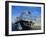 Camels Being Driven to Market in Back of Truck, Cairo, Egypt-Sylvain Grandadam-Framed Photographic Print