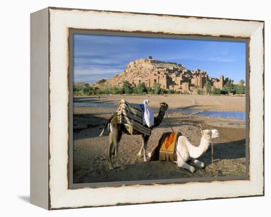 Camels by Riverbank with Kasbah Ait Benhaddou, Unesco World Heritage Site, in Background, Morocco-Lee Frost-Framed Premier Image Canvas