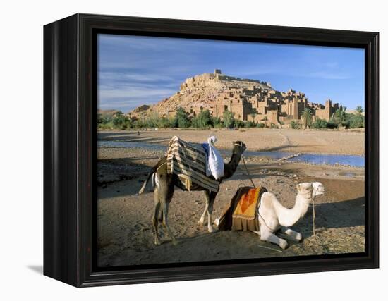 Camels by Riverbank with Kasbah Ait Benhaddou, Unesco World Heritage Site, in Background, Morocco-Lee Frost-Framed Premier Image Canvas