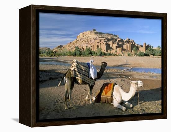 Camels by Riverbank with Kasbah Ait Benhaddou, Unesco World Heritage Site, in Background, Morocco-Lee Frost-Framed Premier Image Canvas