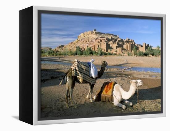 Camels by Riverbank with Kasbah Ait Benhaddou, Unesco World Heritage Site, in Background, Morocco-Lee Frost-Framed Premier Image Canvas