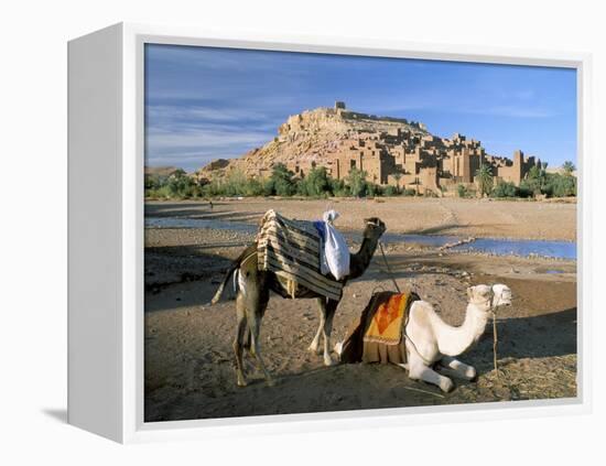 Camels by Riverbank with Kasbah Ait Benhaddou, Unesco World Heritage Site, in Background, Morocco-Lee Frost-Framed Premier Image Canvas