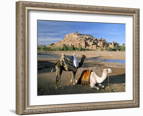 Camels by Riverbank with Kasbah Ait Benhaddou, Unesco World Heritage Site, in Background, Morocco-Lee Frost-Framed Photographic Print