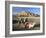 Camels by Riverbank with Kasbah Ait Benhaddou, Unesco World Heritage Site, in Background, Morocco-Lee Frost-Framed Photographic Print