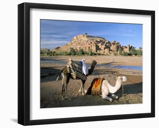 Camels by Riverbank with Kasbah Ait Benhaddou, Unesco World Heritage Site, in Background, Morocco-Lee Frost-Framed Photographic Print