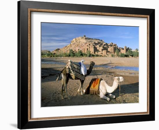 Camels by Riverbank with Kasbah Ait Benhaddou, Unesco World Heritage Site, in Background, Morocco-Lee Frost-Framed Photographic Print