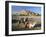 Camels by Riverbank with Kasbah Ait Benhaddou, Unesco World Heritage Site, in Background, Morocco-Lee Frost-Framed Photographic Print