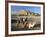 Camels by Riverbank with Kasbah Ait Benhaddou, Unesco World Heritage Site, in Background, Morocco-Lee Frost-Framed Photographic Print