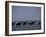 Camels Crossing Coastal Lagoon and Arabian Sea, Near Salalah, Dhofar Region, Oman, Middle East-Patrick Dieudonne-Framed Photographic Print