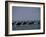 Camels Crossing Coastal Lagoon and Arabian Sea, Near Salalah, Dhofar Region, Oman, Middle East-Patrick Dieudonne-Framed Photographic Print