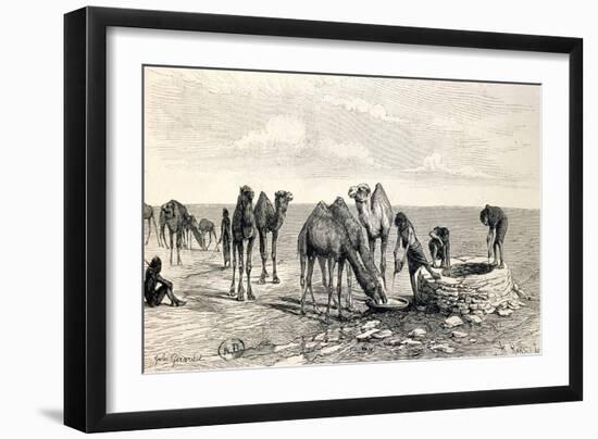 Camels Drinking from a Well in the Sahara Desert-null-Framed Giclee Print