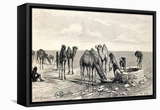 Camels Drinking from a Well in the Sahara Desert-null-Framed Premier Image Canvas