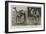 Camels from El-Teb, Soudan, at the Zoological Gardens-null-Framed Giclee Print