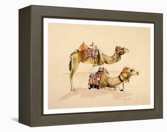 Camels from Petra, 2007-Alison Cooper-Framed Premier Image Canvas