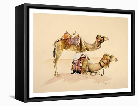 Camels from Petra, 2007-Alison Cooper-Framed Premier Image Canvas