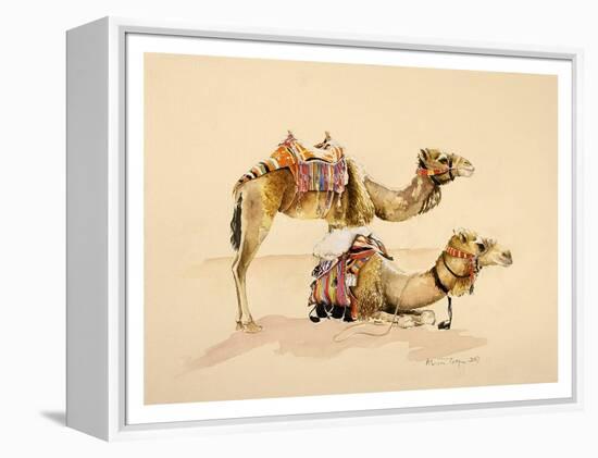 Camels from Petra, 2007-Alison Cooper-Framed Premier Image Canvas