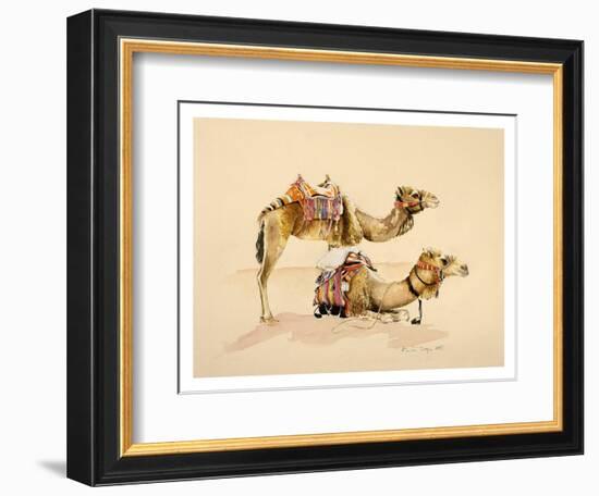 Camels from Petra, 2007-Alison Cooper-Framed Giclee Print