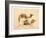 Camels from Petra, 2007-Alison Cooper-Framed Giclee Print