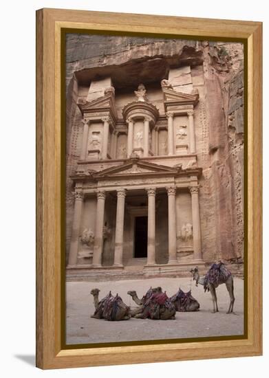 Camels in Front of the Treasury, Petra, Jordan, Middle East-Richard Maschmeyer-Framed Premier Image Canvas