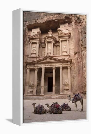 Camels in Front of the Treasury, Petra, Jordan, Middle East-Richard Maschmeyer-Framed Premier Image Canvas