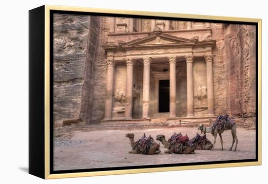 Camels in Front of the Treasury, Petra, Jordan, Middle East-Richard Maschmeyer-Framed Premier Image Canvas