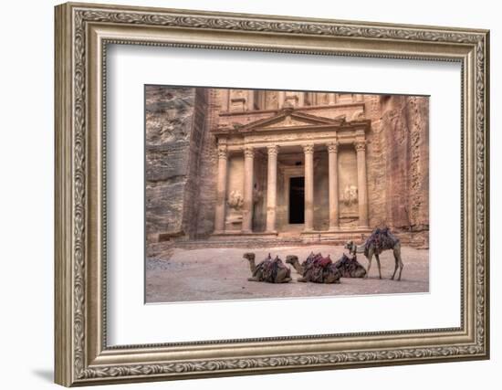 Camels in Front of the Treasury, Petra, Jordan, Middle East-Richard Maschmeyer-Framed Photographic Print