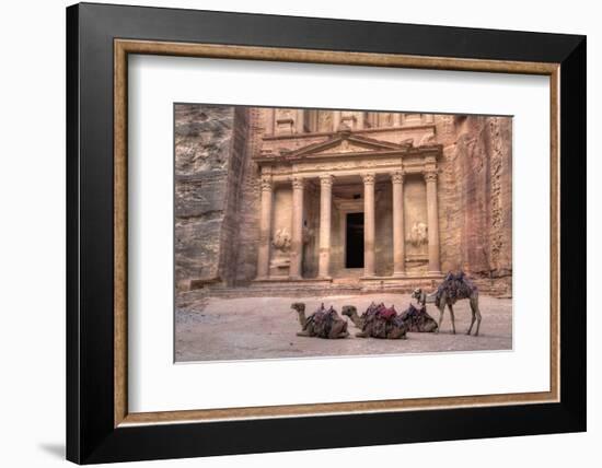 Camels in Front of the Treasury, Petra, Jordan, Middle East-Richard Maschmeyer-Framed Photographic Print