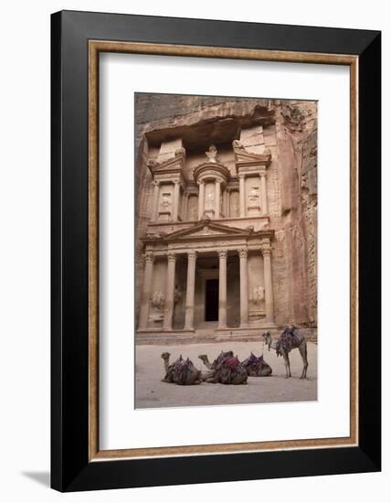 Camels in Front of the Treasury, Petra, Jordan, Middle East-Richard Maschmeyer-Framed Photographic Print